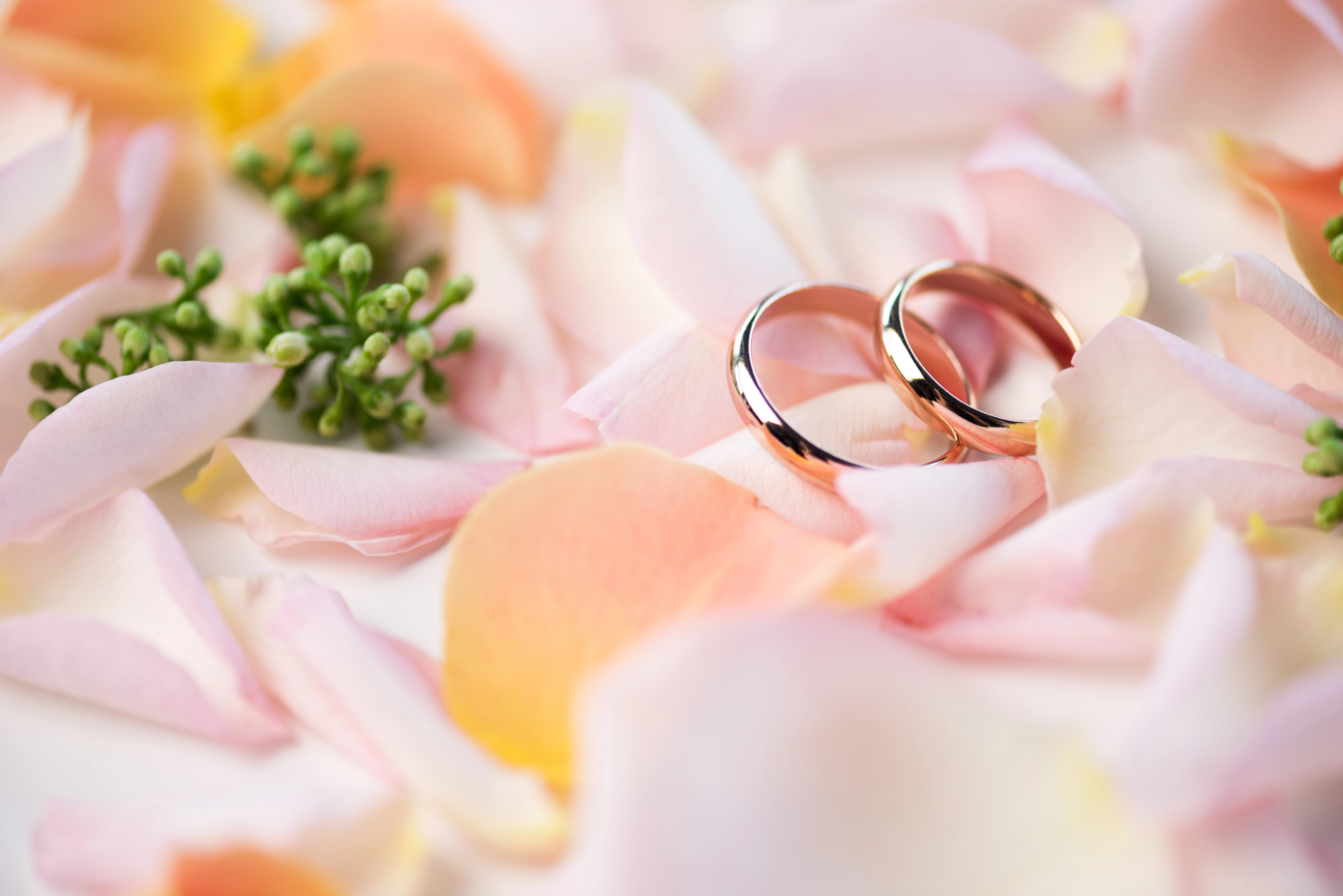 Wedding rings on petals